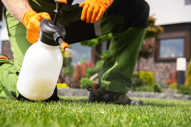 Reliable Sour Lake, TX Pest Control Solutions