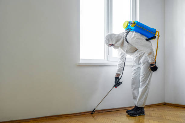Best Pest Prevention Services  in Sour Lake, TX