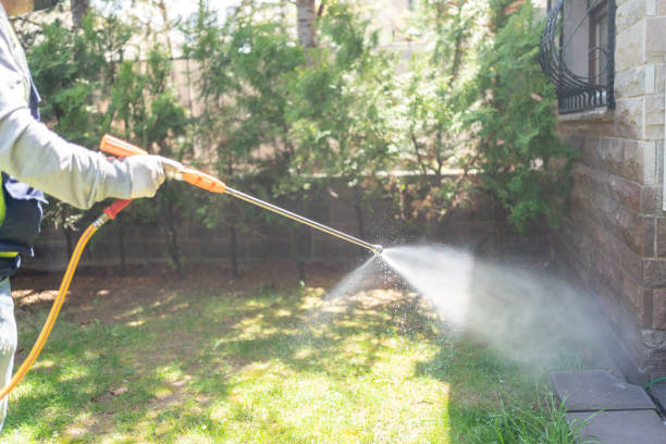 Best Termite Control Services  in Sour Lake, TX