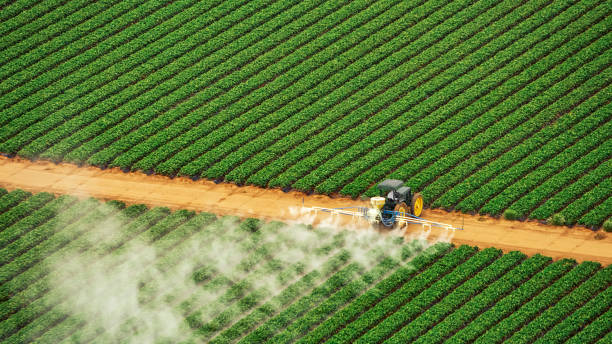 Best Commercial Pest Control Services  in Sour Lake, TX